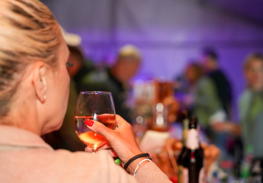 Reiterparty Wiesbaden Erbenheim 03 05 2025 0004